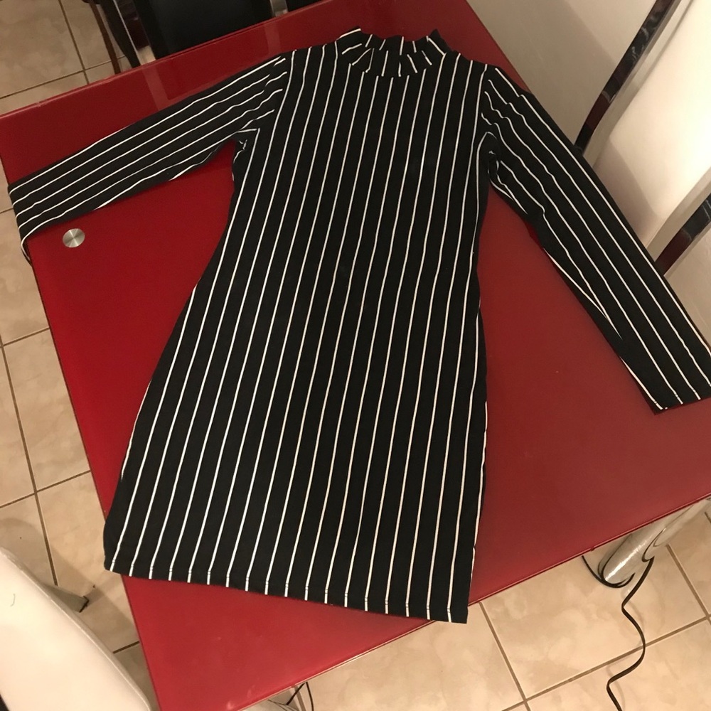 Turtle Neck Dress